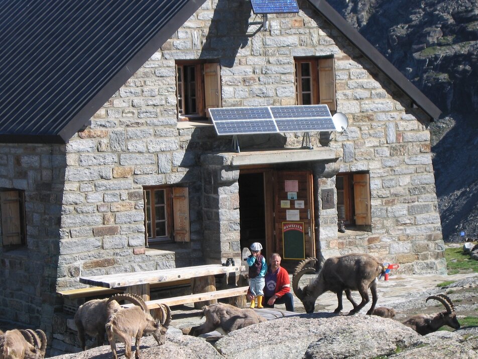 Bordier hut with ibex | © Grächen St. Niklaus