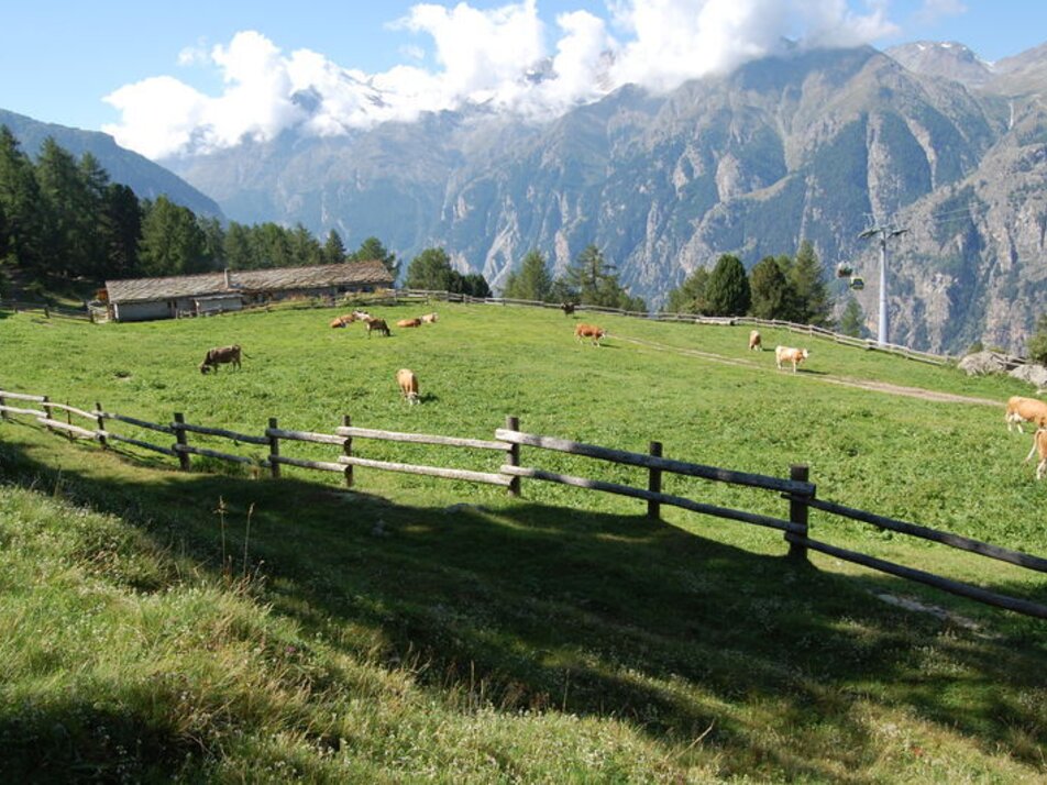 Alpe Äpnet | © Unbekannt