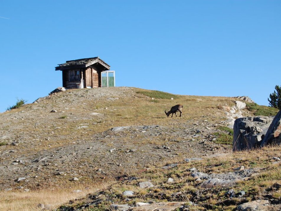 Viewing point Furggen | © Unknown