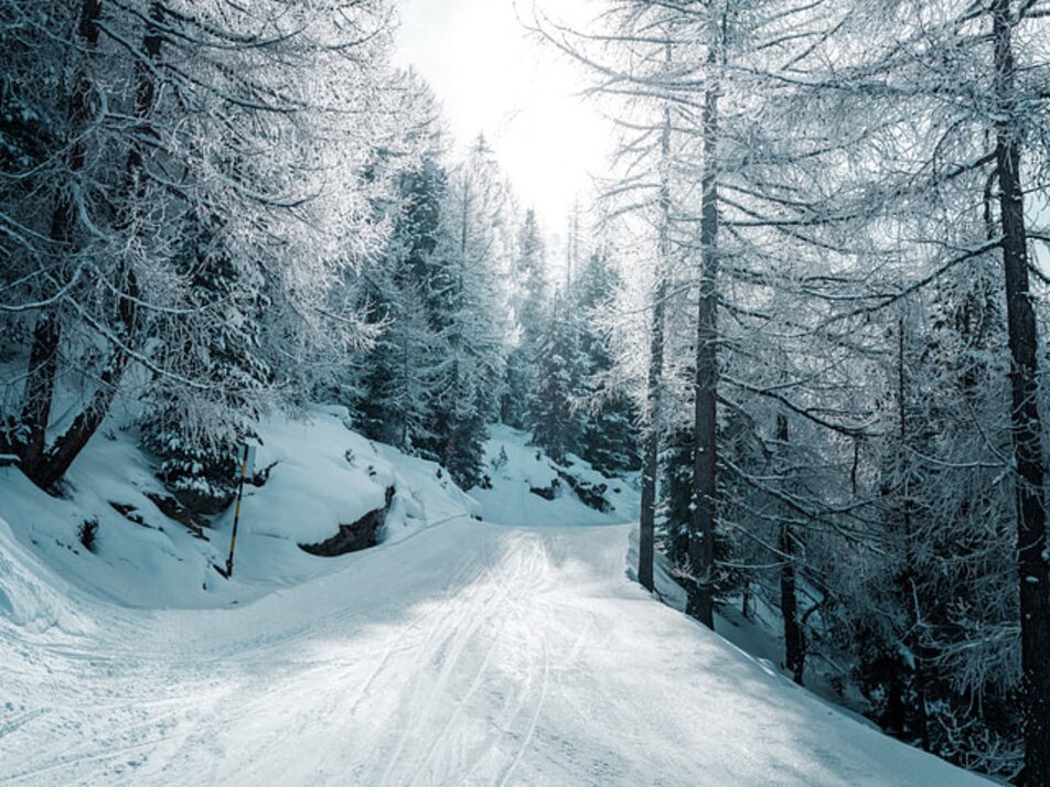 Slope to Stafel | © Grächen St. Niklaus