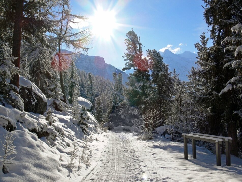 winter hiking trail | © Grächen St. Niklaus