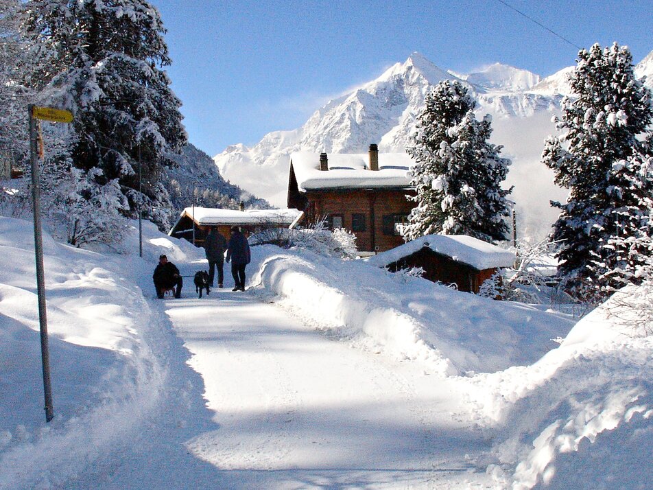 Winterwanderung Grächen | © Grächen St. Niklaus