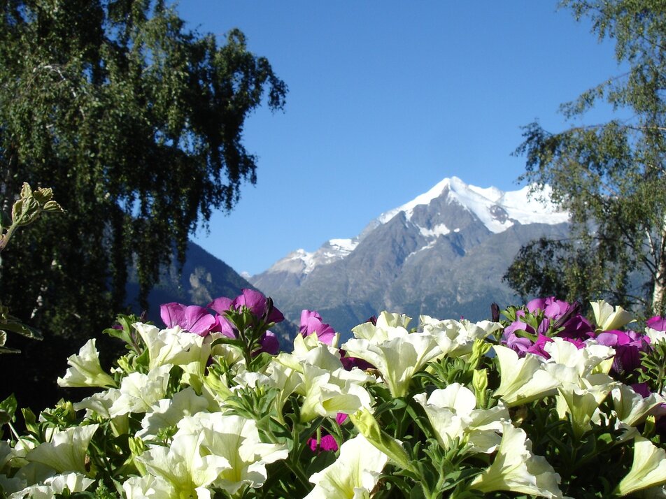 View Brunegghorn | © Grächen St. Niklaus