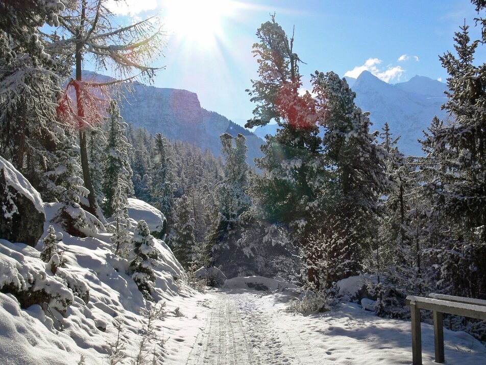 Winter hike Grächen | © Grächen St. Niklaus