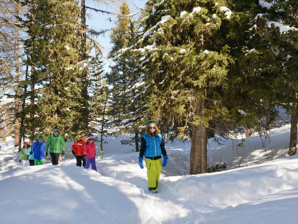 The trail leads through the forest | © Grächen und St. Niklaus Tourismus und Gewerbe  