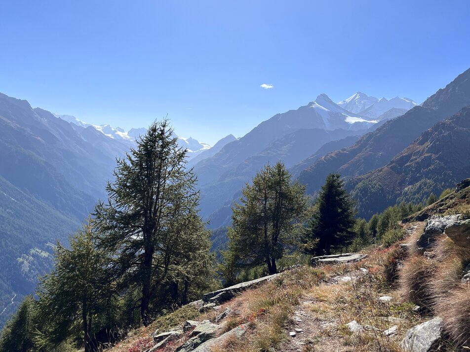 Blick zum Weisshorn | © Holiday destination Grächen St. Niklaus