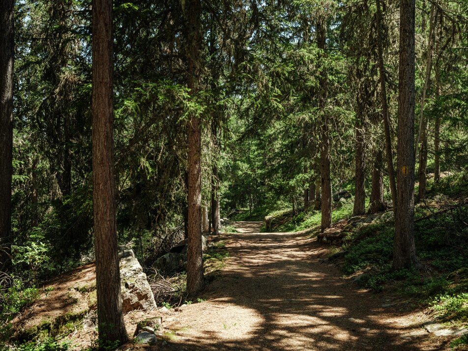 © Grächen und St. Niklaus Tourismus und Gewerbe